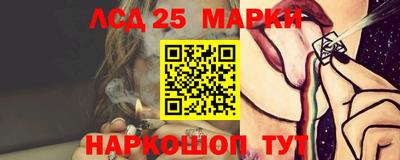 спиды Бердск